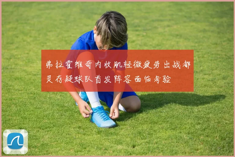 弗拉霍维奇内收肌轻微疲劳出战都灵存疑球队首发阵容面临考验